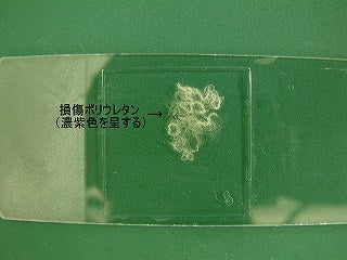 試薬により一部の糸が発色した繊維の写真