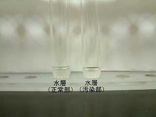 上の水相部を別の試験管に採取した写真。正常部汚染部共に無色透明