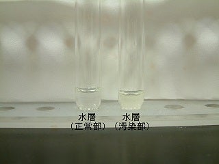 抽出液に試液を滴下した写真