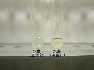 上の水相部を別の試験管に採取し試薬を滴下した写真