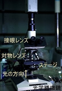 光学顕微鏡の外観を示す写真