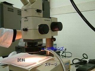 実体顕微鏡に試料をセットした写真