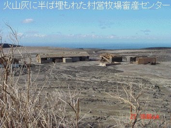 火山灰に半ば埋もれた畜産センターの画像