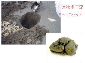 火山灰試料の写真