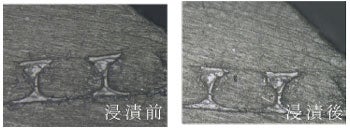 耐酸性（×500）の写真