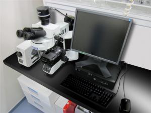 正立顕微鏡1