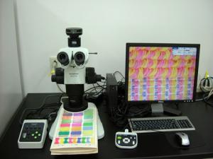 実体顕微鏡および撮影装置