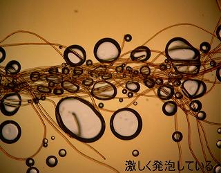 繊維周辺に多数の気泡が見られる顕微鏡写真