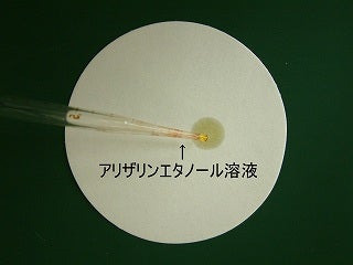 アリザリンエタノール溶液をろ紙に垂らしている写真