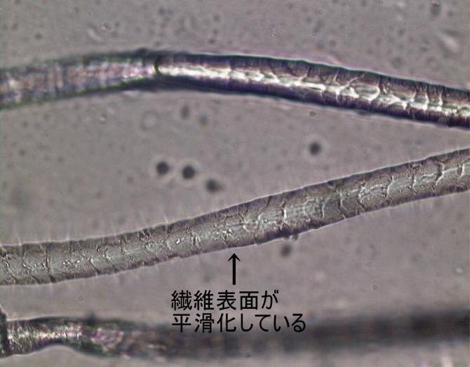 表面が平滑化した繊維の顕微鏡写真