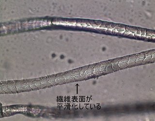表面が平滑化した繊維の顕微鏡写真