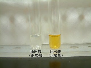 正常部と変色部の抽出液を比較する写真。正常部無色透明。変色部褐色