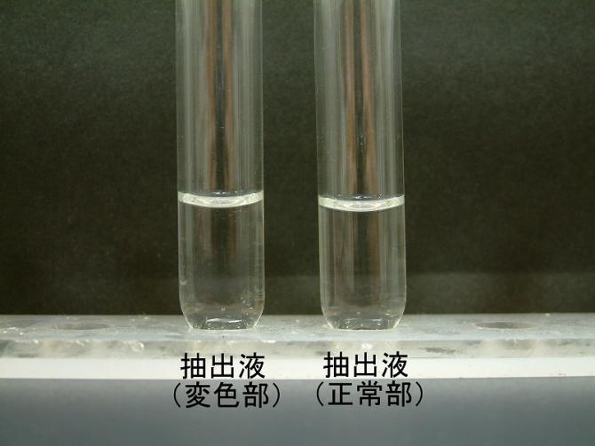 正常部と変色部から抽出した液を比較する写真。両方とも無色透明