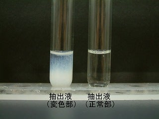 硝酸銀 水溶液