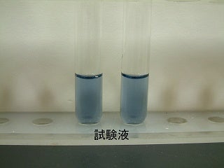 試験液を入れた2本の試験管の写真