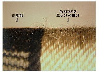 毛羽立ち　確認用です