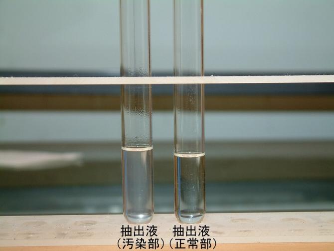 正常部と汚染部からの抽出液を比較している写真。正常部無色透明、汚染部わずかに白濁