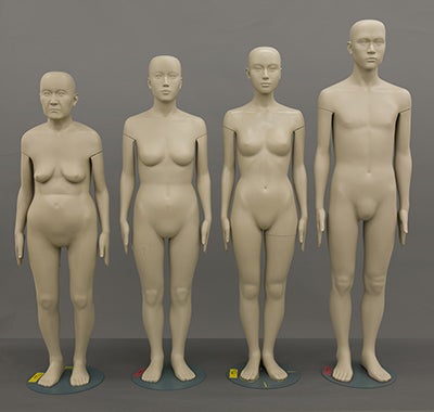 図2．平均寸法ダミー（全身型） （左から70代女性、40代女性、20代女性、20代男性）