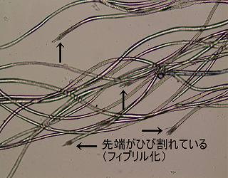 穴あき側の切断端の顕微鏡写真