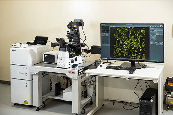 共焦点レーザー蛍光顕微鏡の写真