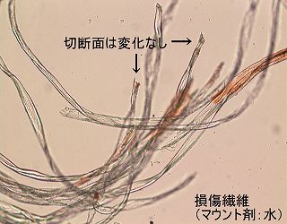 損傷繊維の顕微鏡写真