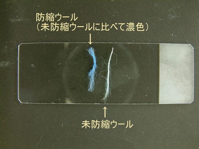 試薬を洗浄した後の繊維の写真