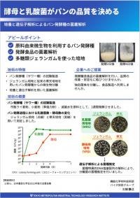 酵母と乳酸菌がパンの品質を決める