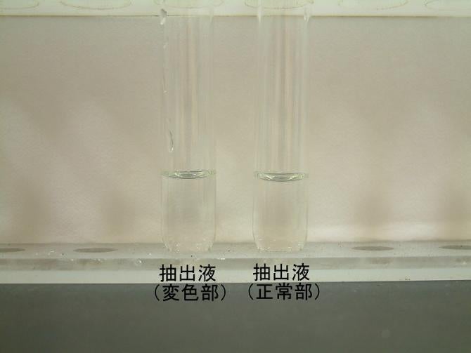 正常部と変色部の抽出液を比較する写真。両方とも無色透明