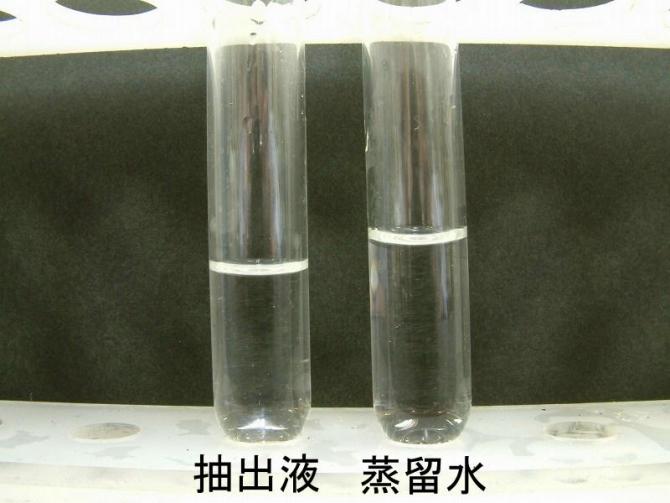 抽出液と蒸留水を試験管に入れ比較している写真。共に無色透明