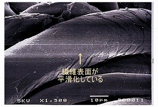 テカリを発生した箇所から採取した繊維の電子顕微鏡写真。繊維が扁平化している